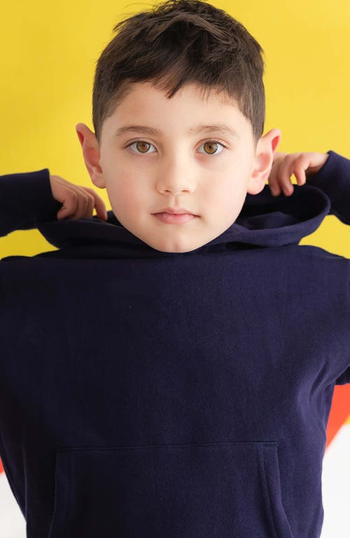 Shop Mightly Organic Cotton Pullover Pocket Hoodie In Navy