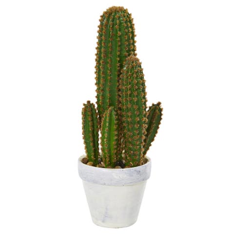 1.5-ft Cactus Succulent Artificial Plant