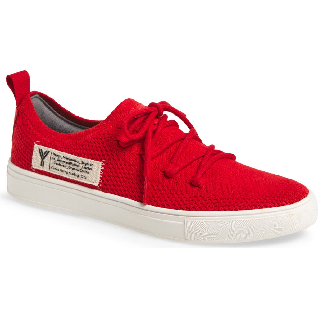 Yy Nation Cirrus Hemp & Wool Low Top Sneaker In Multi