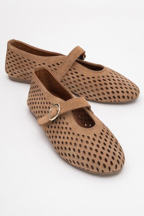 Forever & Always Shoes Arian Leather Ballet Flat In Brown
