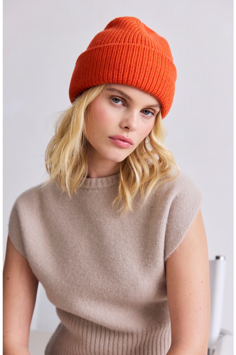 The Embroidered Merino Wool Beanie, Alternate, color, SUNKISSED CORAL