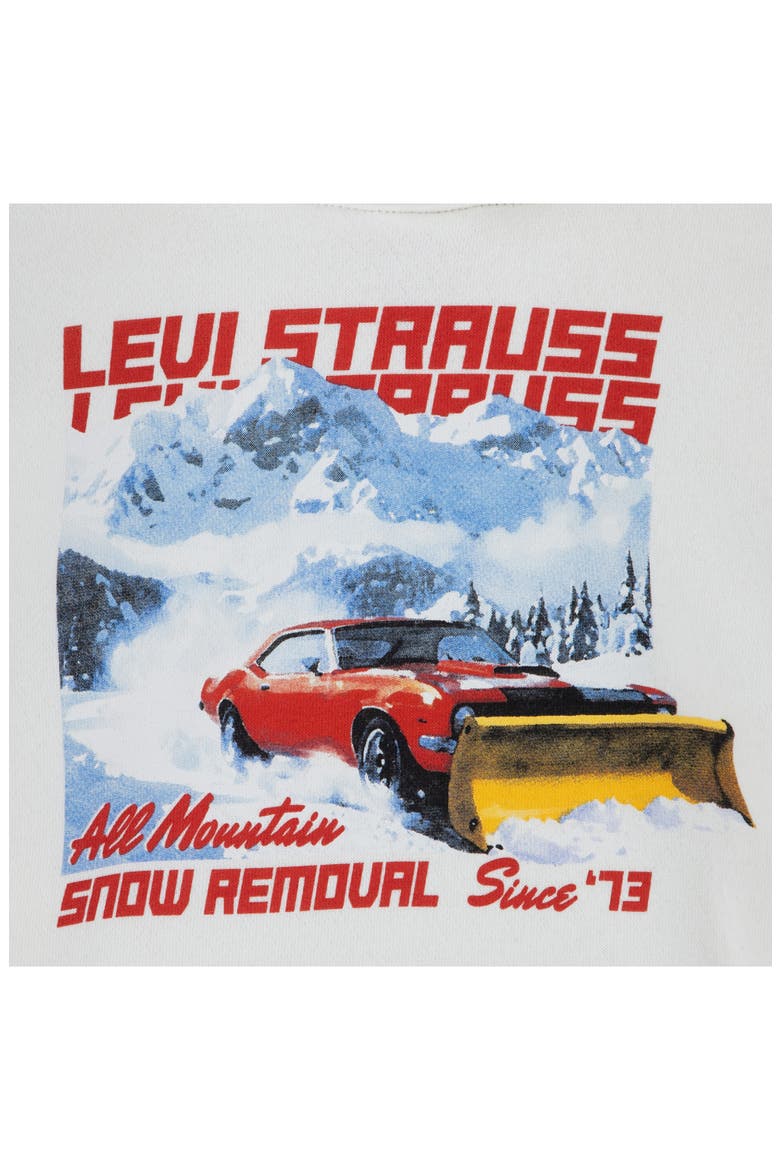 Kids' Snowplow Graphic Hoodie, Alternate, color, LEVIS EGRET