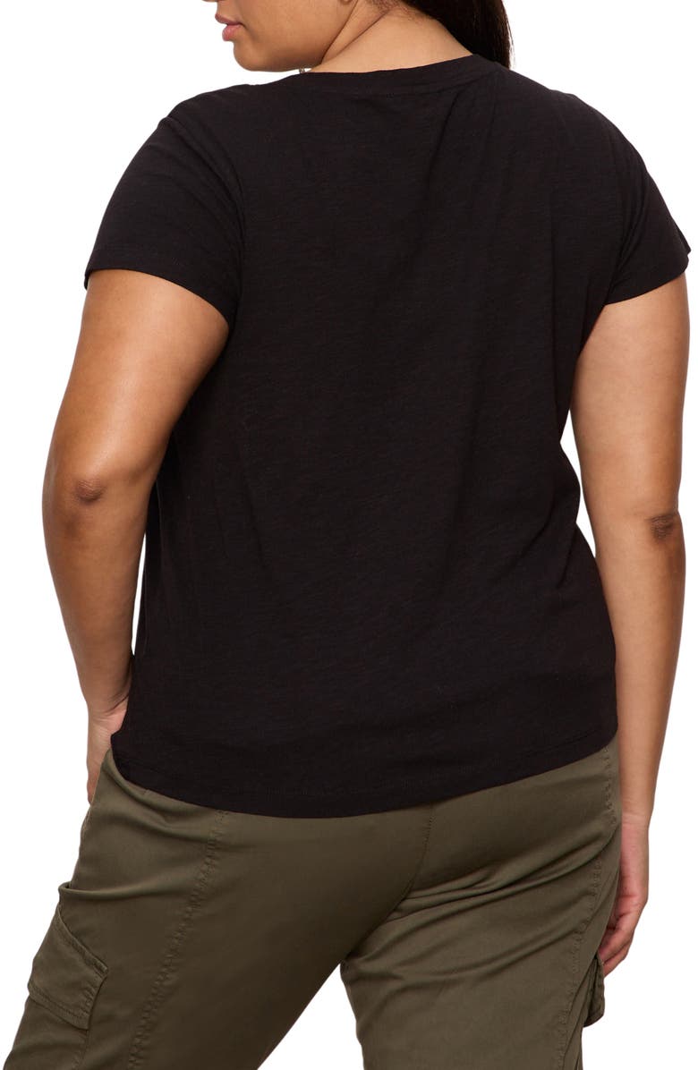 Sanctuary V-Neck T-Shirt, Alternate, color, Black