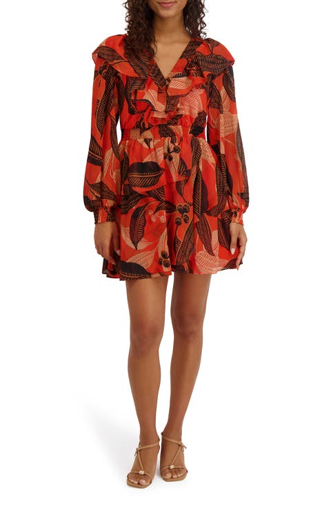 Ruffle Long Sleeve Minidress