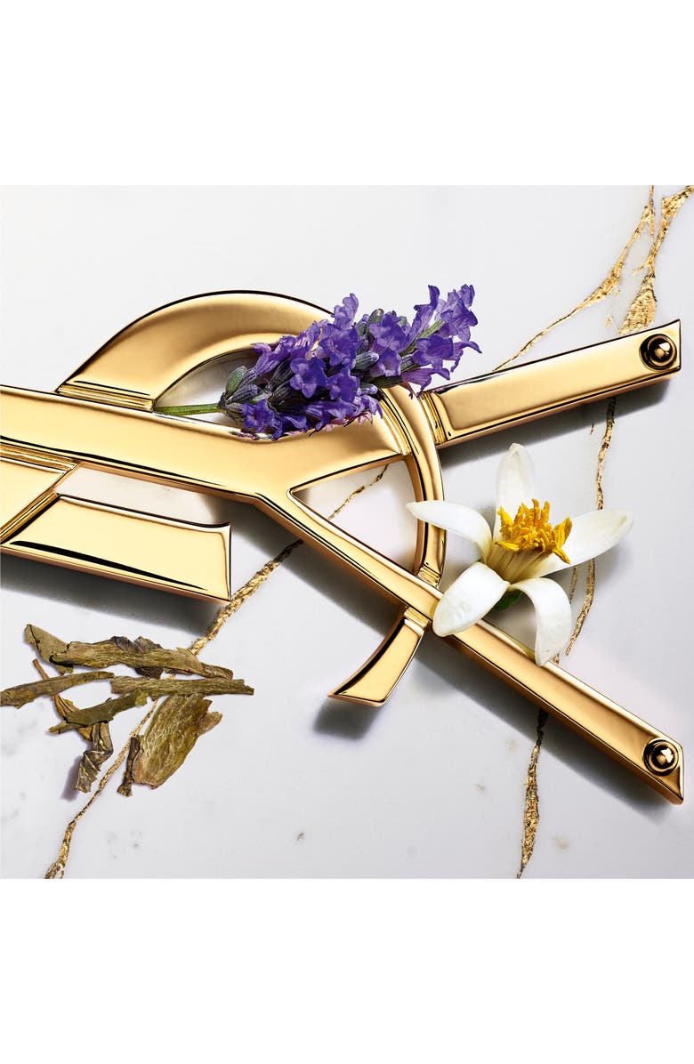 Yves Saint Laurent Libre Eau de Toilette, Alternate, color,