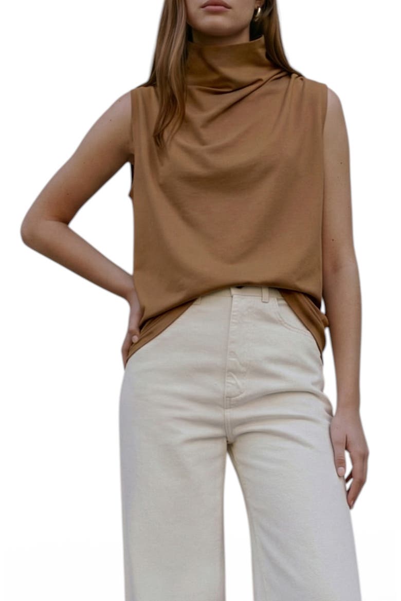 Finch French Terry Funnel Neck Top, Main, color, CHESTNUT BROWN