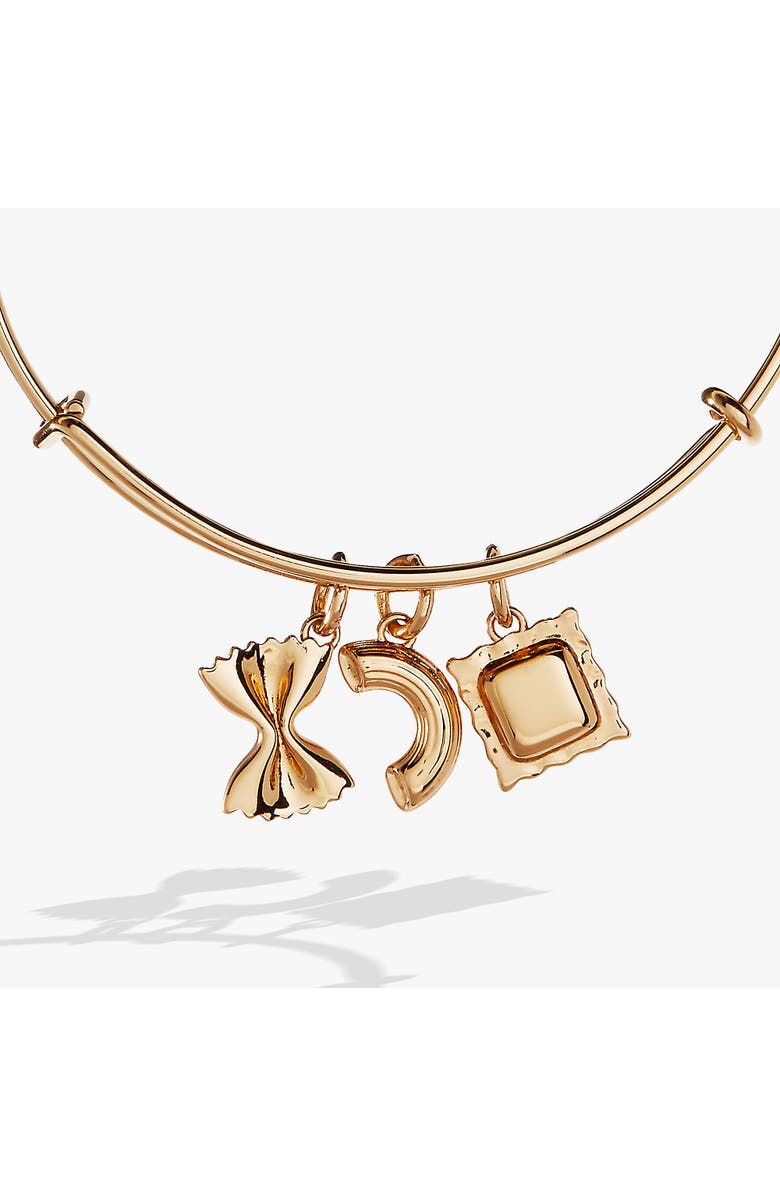 Alex and Ani Bangle Bracelet Multi Charm Pasta, Alternate, color, 