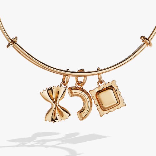 Alex And Ani Bangle Bracelet Multi Charm Pasta In Gold