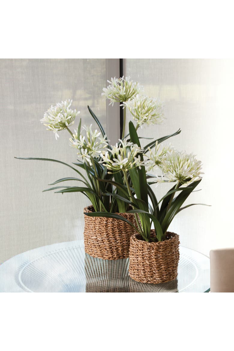 Agapanthus Drop-In Faux (Fake) 29", Alternate, color, White