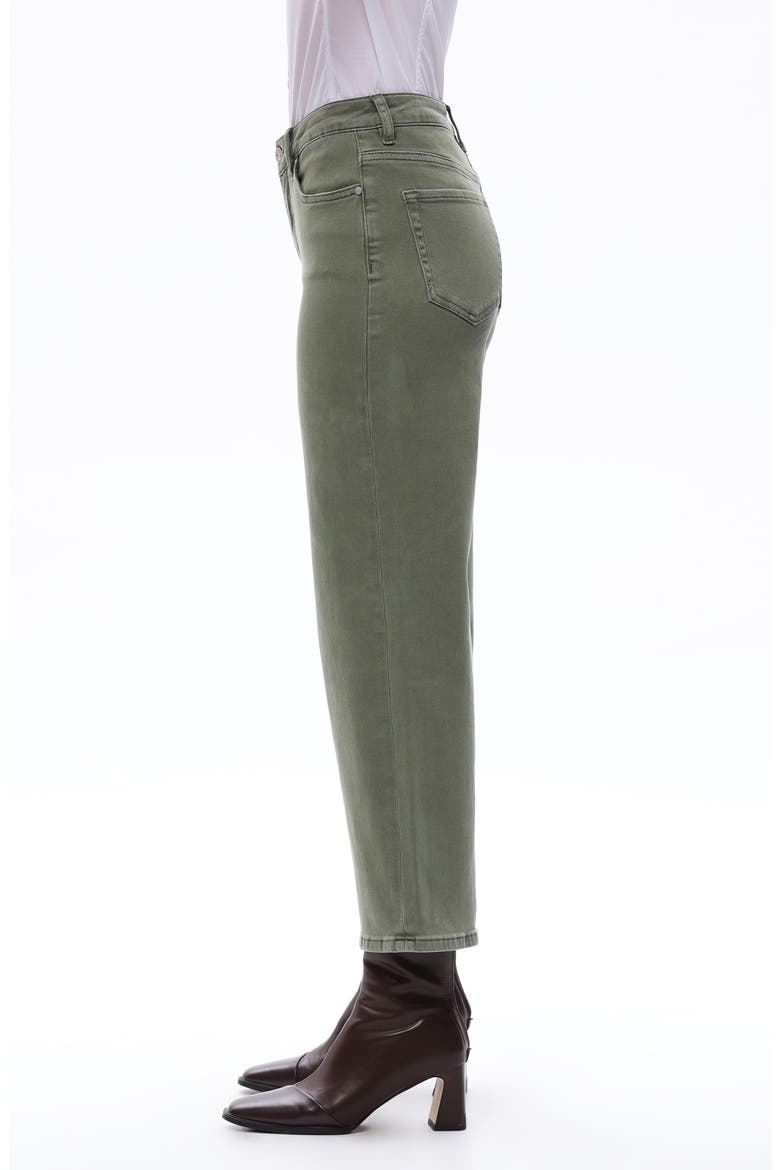 Bella Crop Straight Leg Jeans, Alternate, color, GREEN