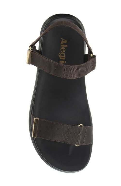Alegria By Pg Lite Allyson Platform Sandal In Brown