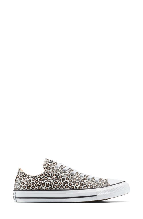 Converse Gender Inclusive Chuck Taylor All Star Leopard Spot Canvas Low Top Sneaker In Animal Print