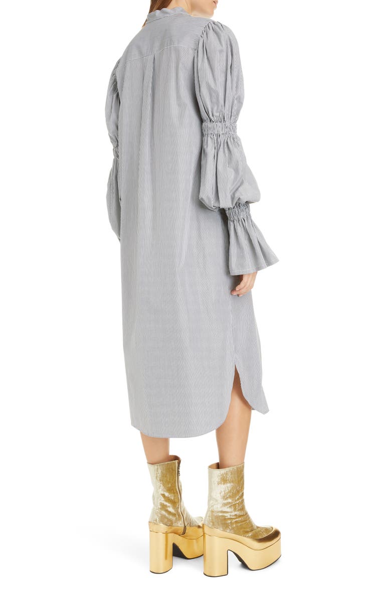 Dries Van Noten Doves Pinstripe Long Sleeve Shirtdress, Alternate, color,