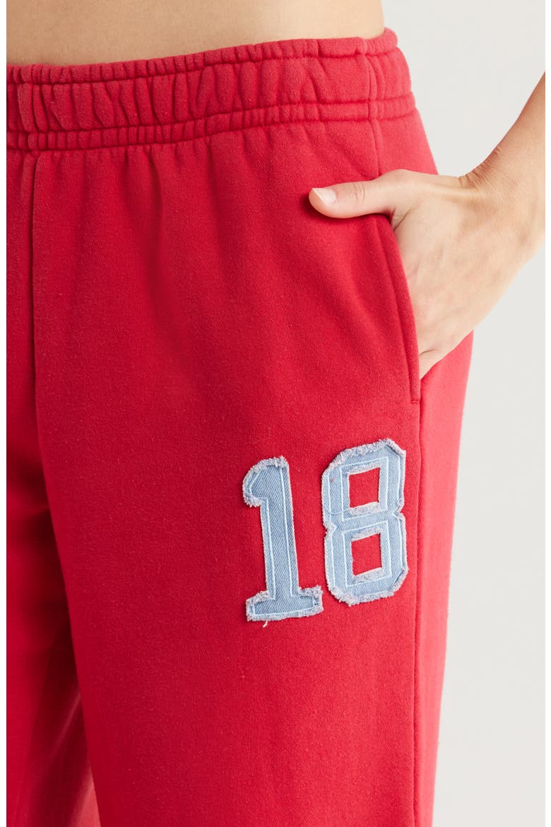 Denim 18 Appliqué Baggy Sweatpants, Alternate, color, RED