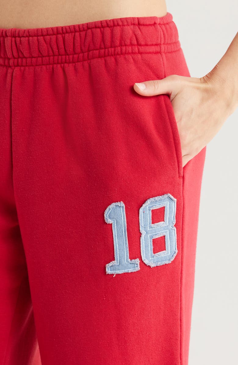 PacSun Denim 18 Appliqué Baggy Sweatpants, Alternate, color, Red