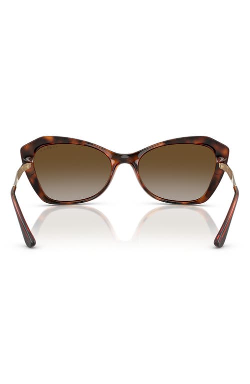 Vogue 56mm Polarized Gradient Cat Eye Sunglasses In Dark Havana