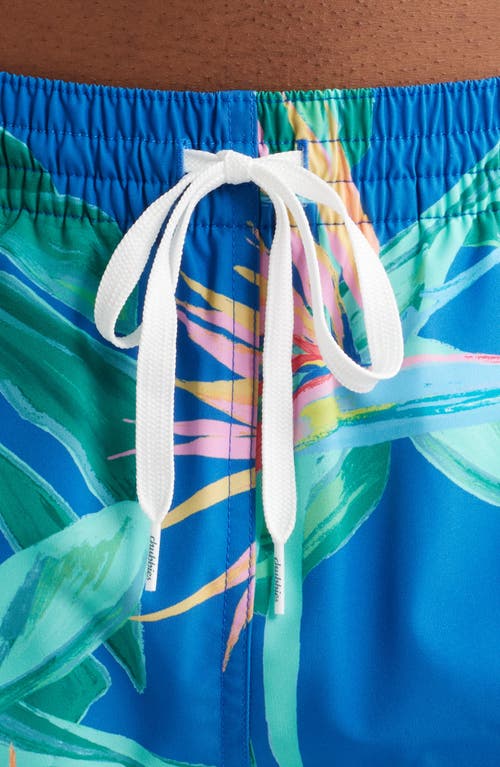 Chubbies The Blue Birds Of Paradise 5.5-inch Swim Trunks In Blue