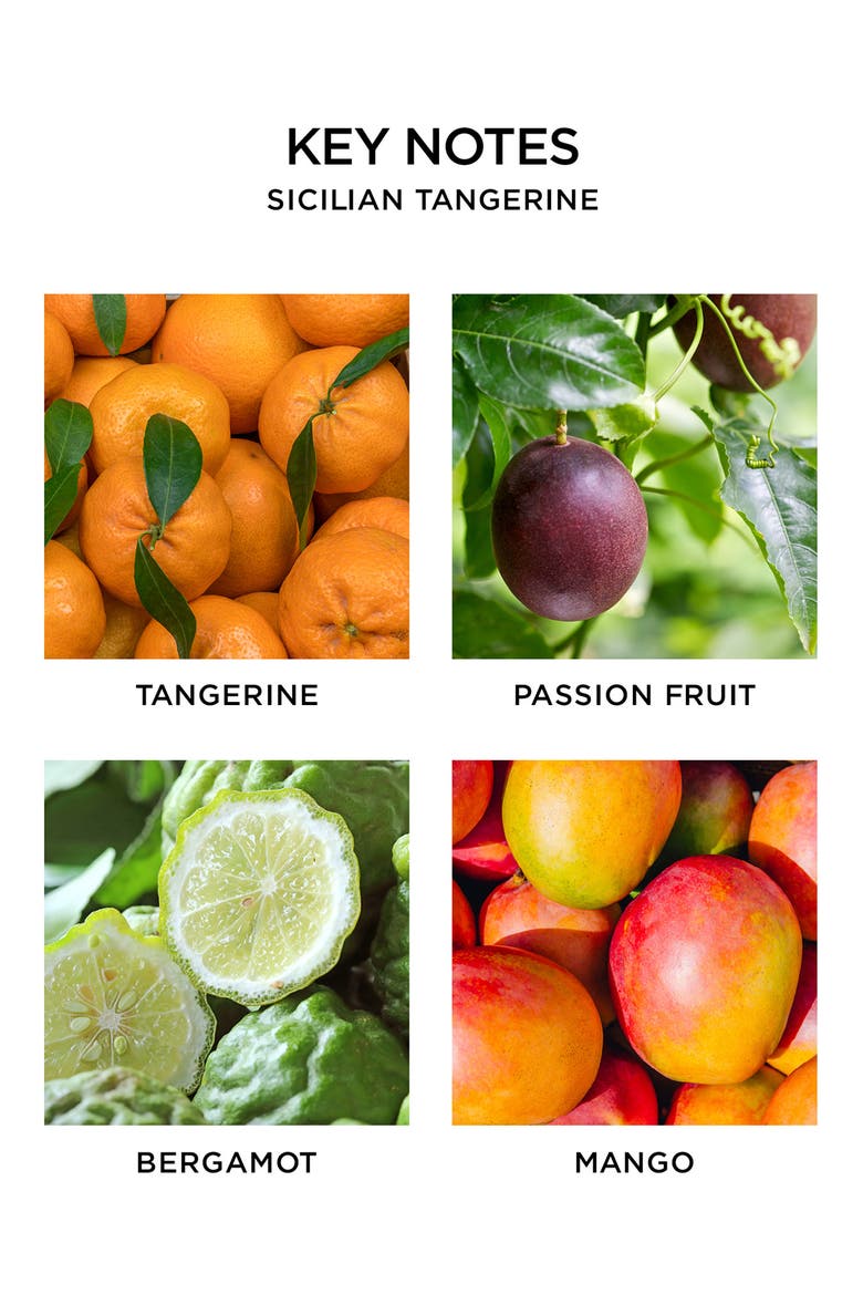 Sicilian Tangerine Scented Candle, Alternate, color, NO COLORDNU