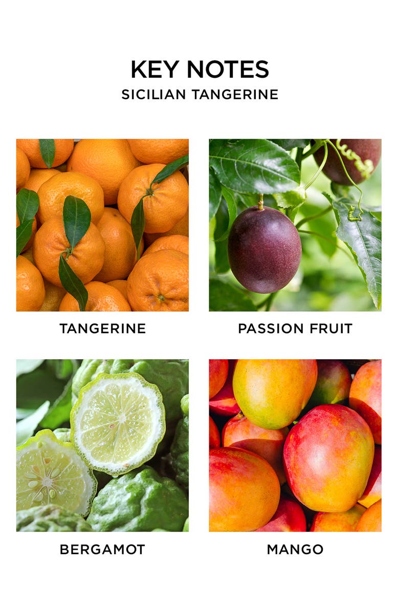 NEST New York Sicilian Tangerine Scented Candle, Alternate, color,