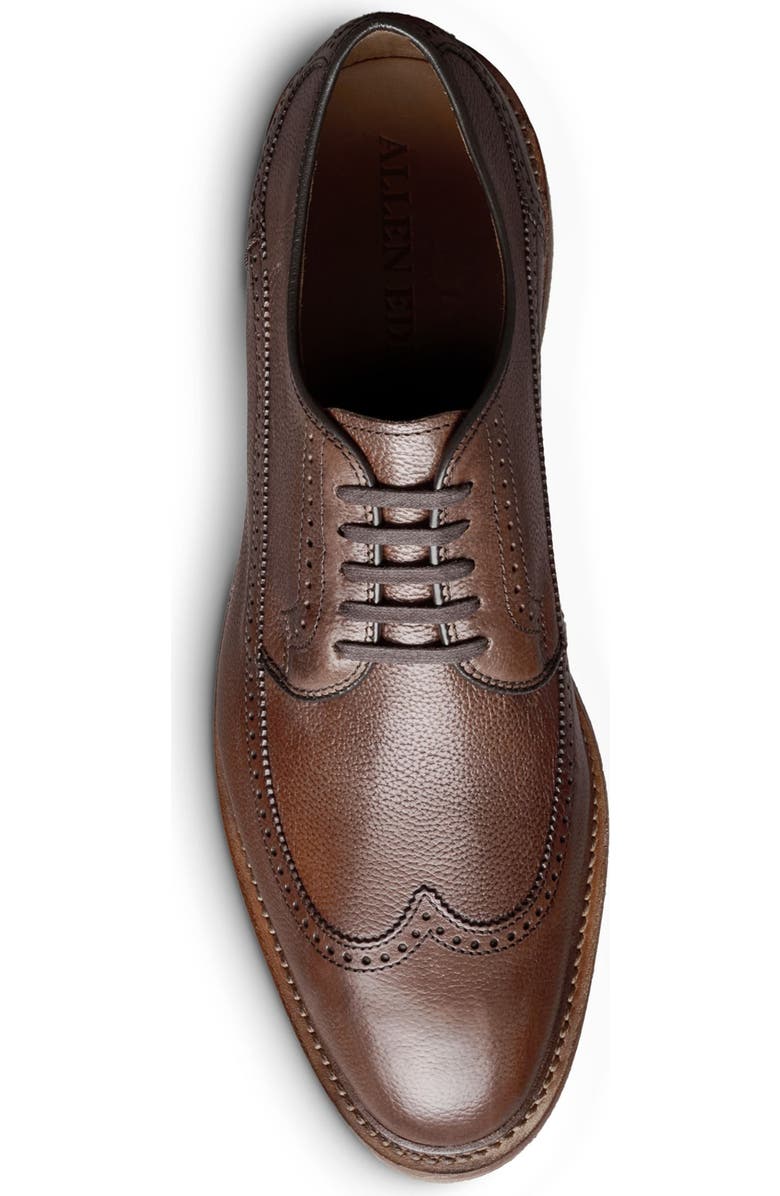 Allen Edmonds Winston Verse Wingtip Brogue Oxford, Alternate, color, Chili
