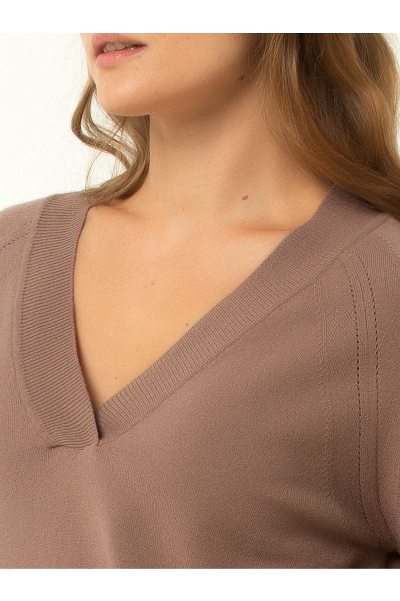 Drop Shoulder V-Neck Sweater, Alternate, color, Deep Taupe