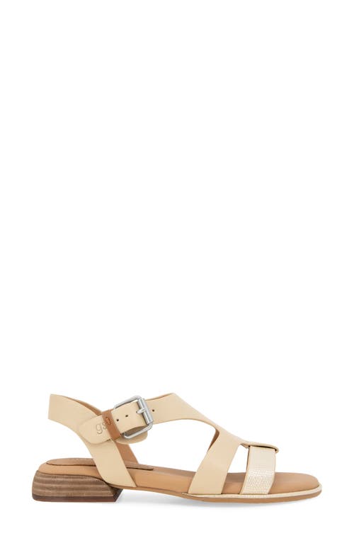Gentle Souls By Kenneth Cole Haisley Ankle Strap Sandal In Sand Leather