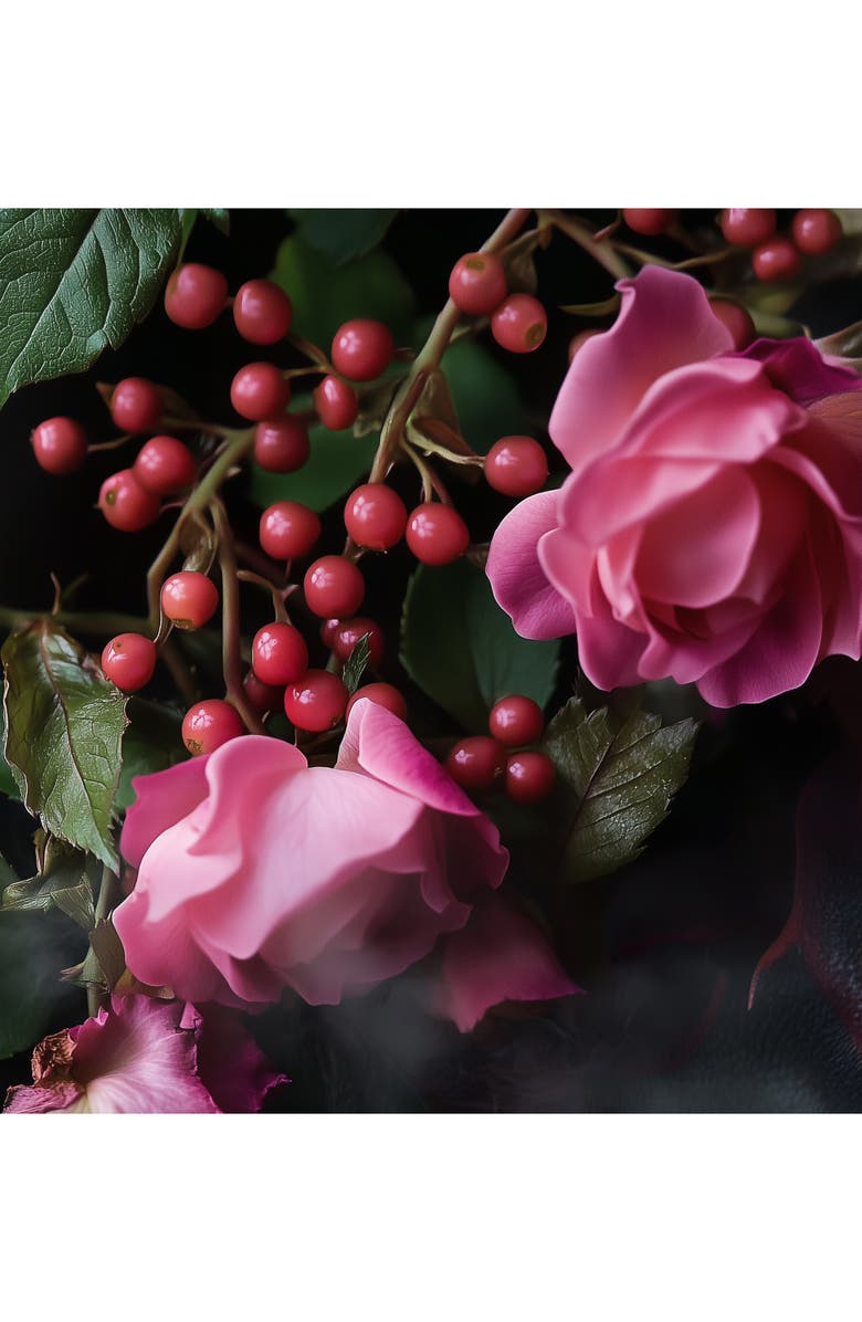 House of Sillage Passion de L'Amour Nouvelle Liason Parfum, Alternate, color, 