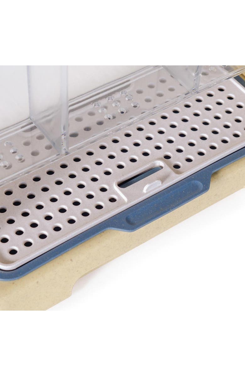 Kaplan Early Learning Company Explore and Discover 3 Section Root View Planter, Alternate, color, Clear