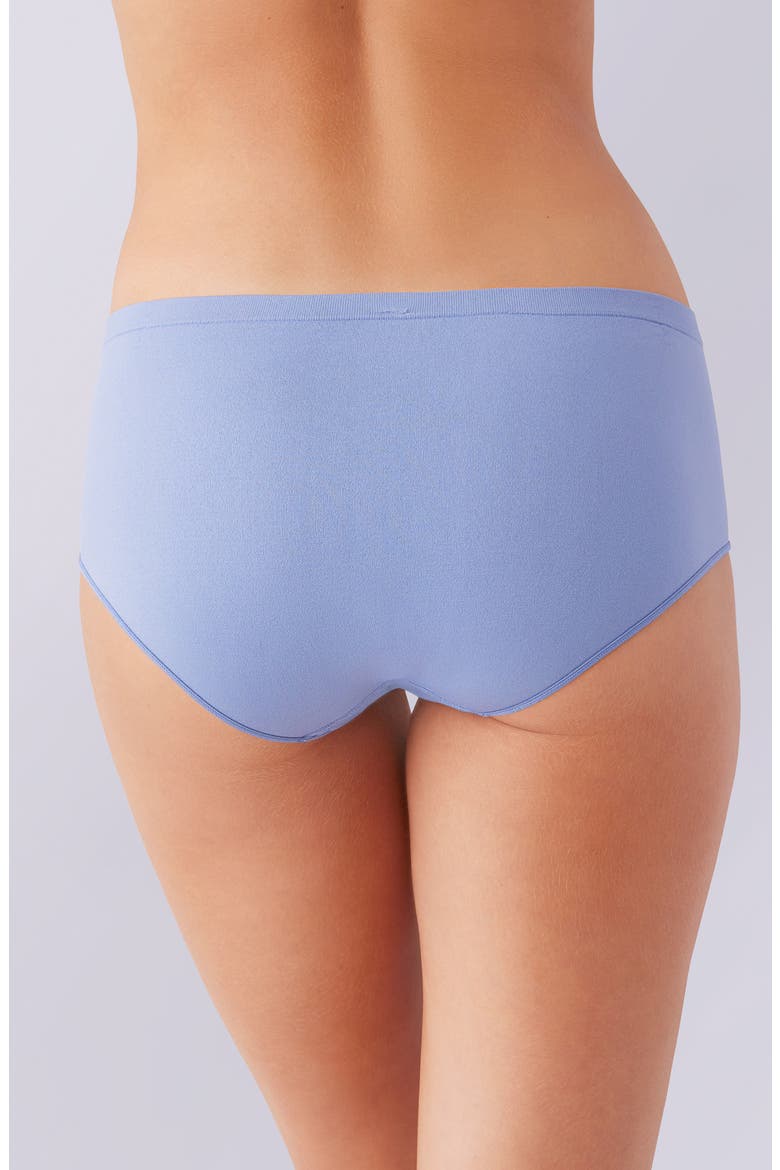 Comfort Intended Daywear Hipster Panties, Alternate, color, COUNTRY BLUE