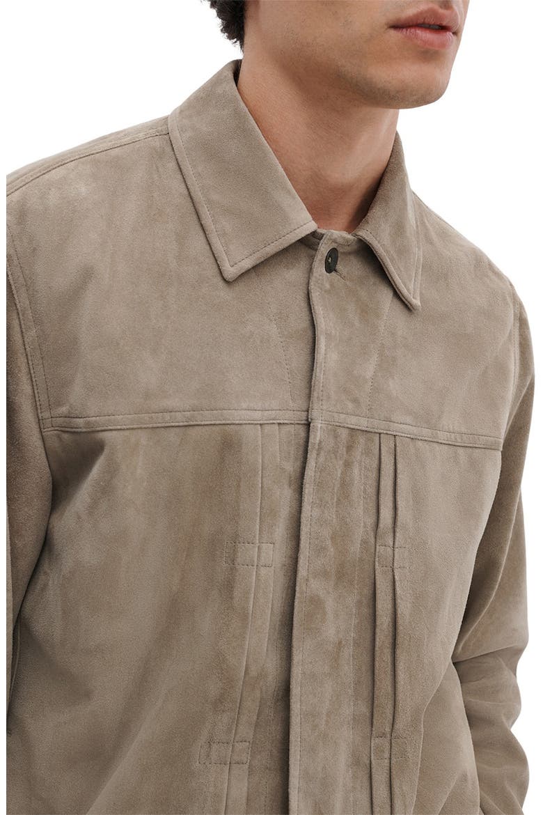 Dwight Goatskin Suede Jacket, Alternate, color, MINK