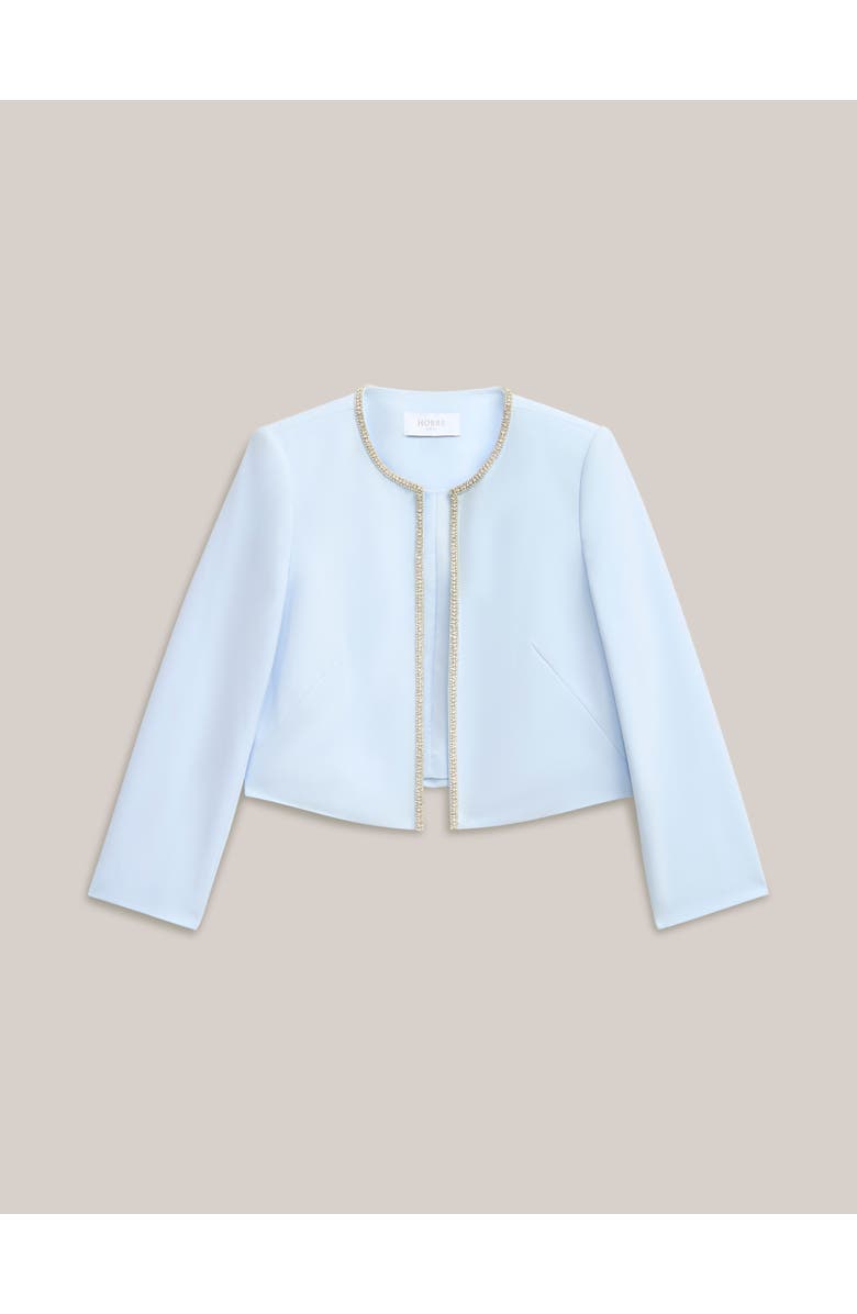 HOBBS LONDON Beatrix Embellished Jacket, Alternate, color, Pale Blue