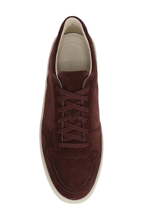 Vince Peyton Sneaker In Burgundy