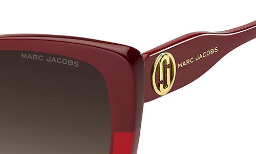 Marc Jacobs 55mm Gradient Cat Eye Sunglasses In Burgundy