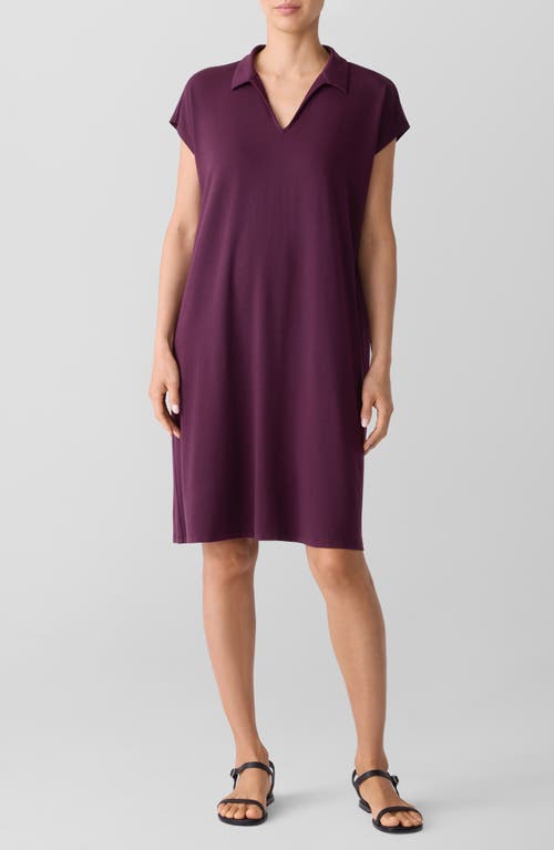 Eileen Fisher Classic Collar Shift Dress In Purple