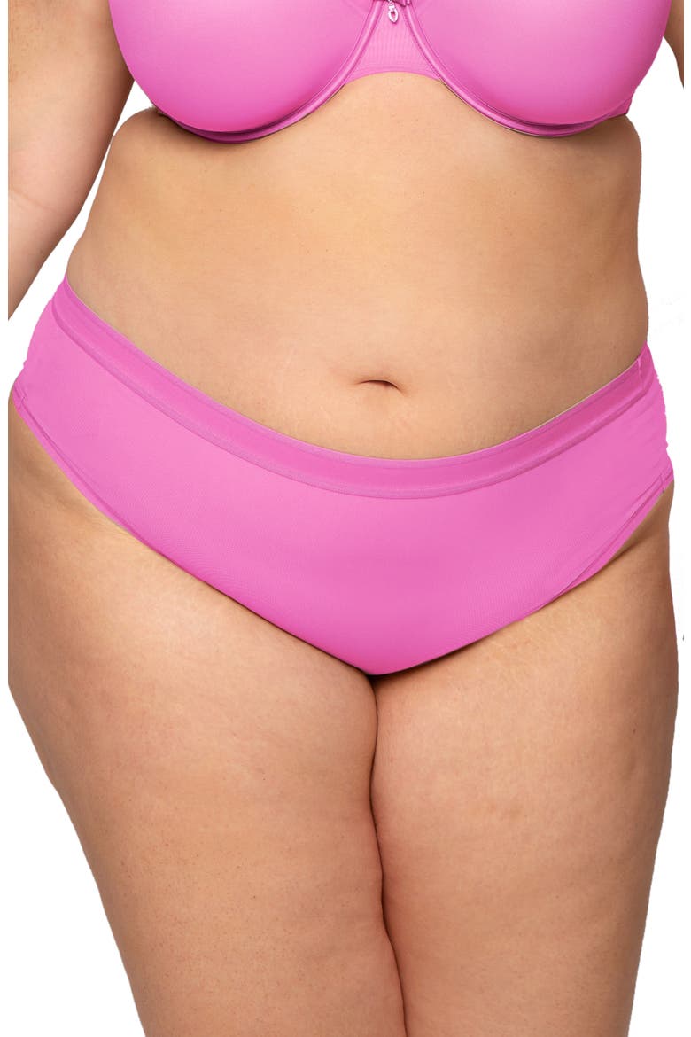 Sheer Mesh High Cut Briefs, Main, color, FLIRT