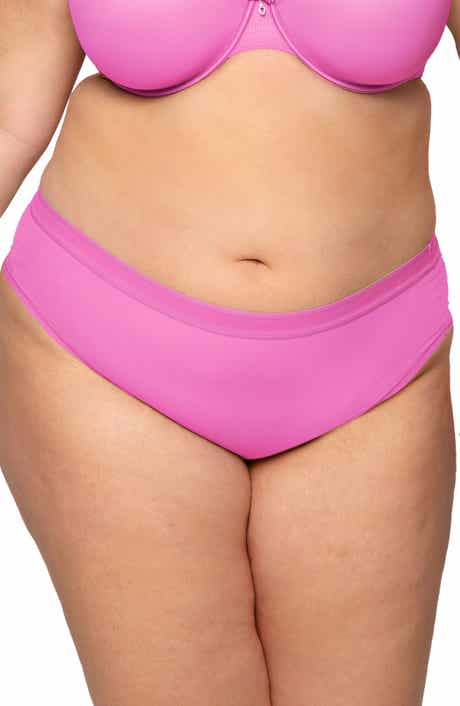Sheer Mesh High Cut Briefs
