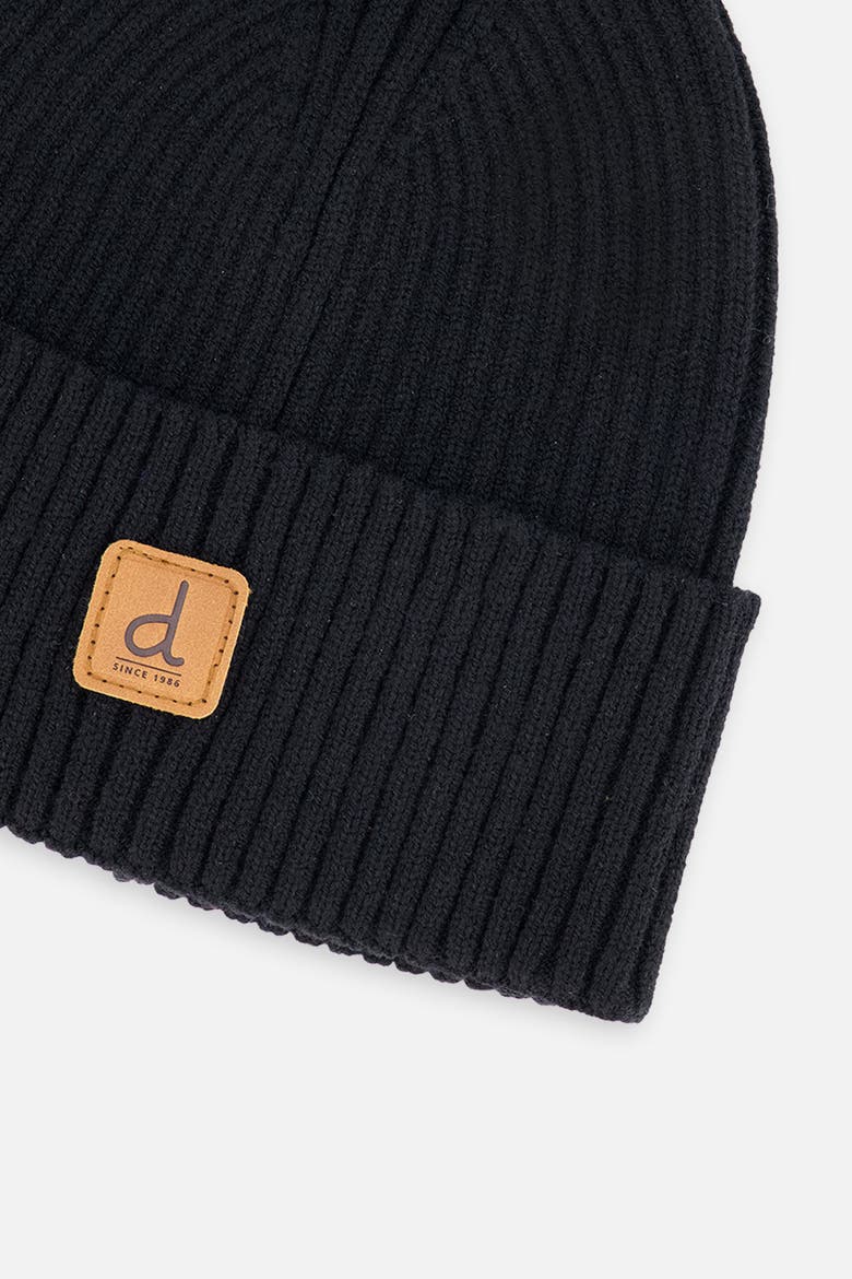 Ribbed Folded Cuff Logo Hat, Alternate, color, Black