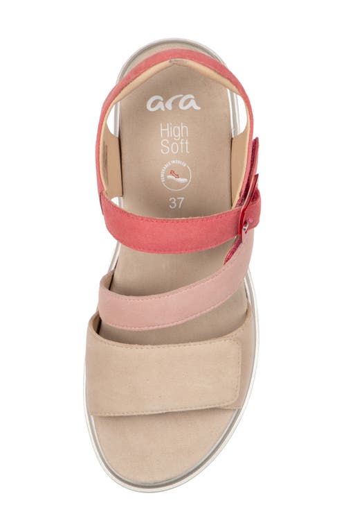 Ara Maldives Sandal In Shelll/piggy Pink/doll Pink