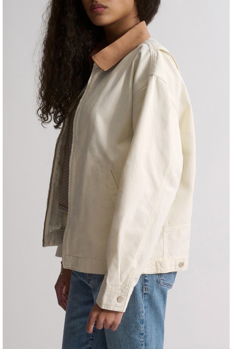 Turtledove Jacket, Alternate, color, TURTLEDOVE