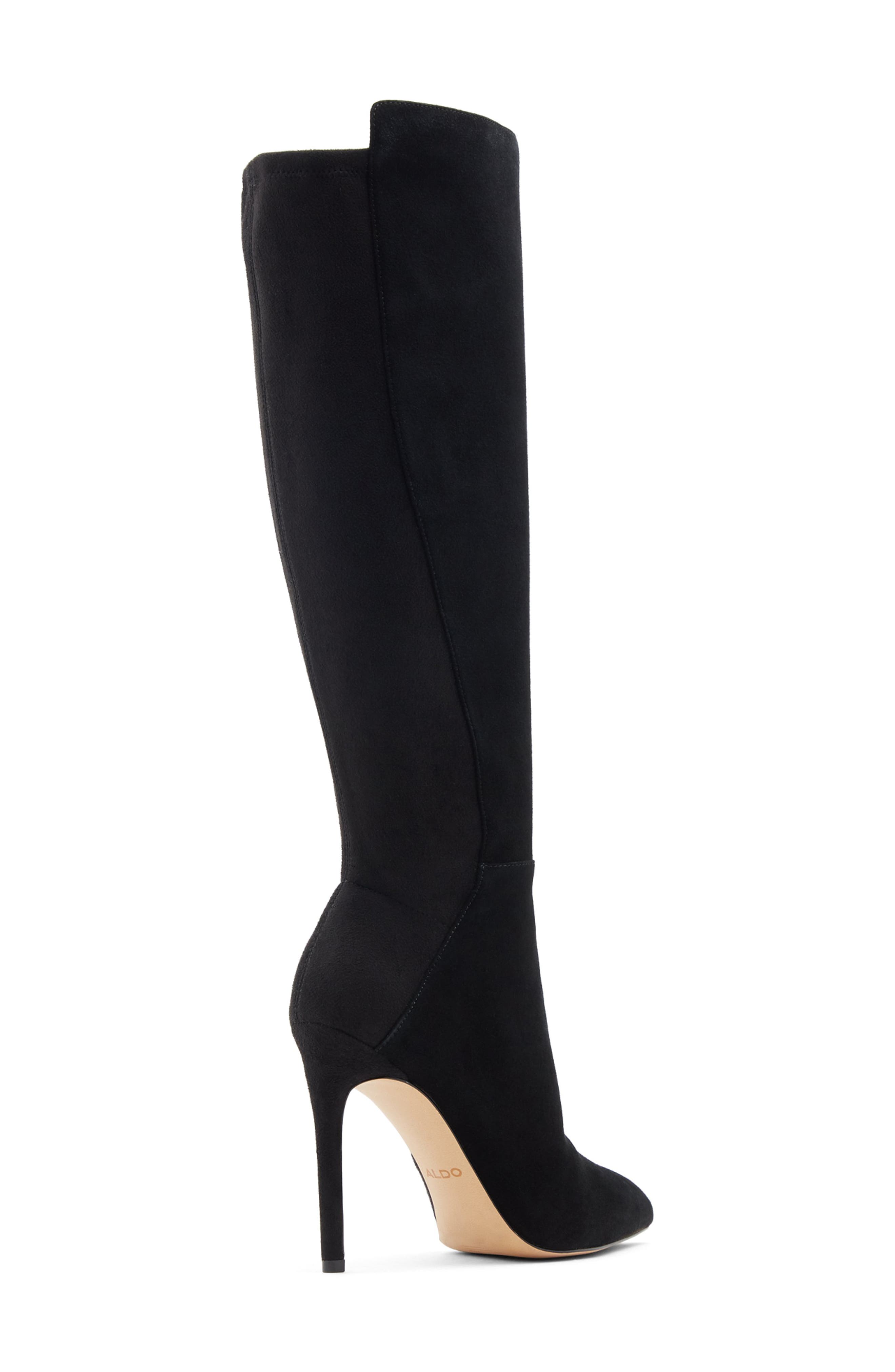 ALDO Sophialaan Pointed Toe Boot, Alternate, color, 