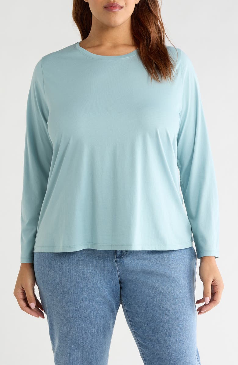 Eileen Fisher Long Sleeve Cotton Crewneck Top, Main, color, Seafoam