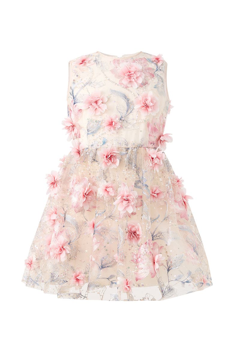 Rosalia Embroidered Mini Dress, Main, color, Floral