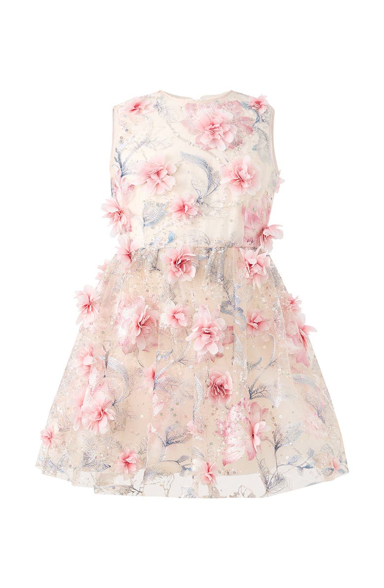 Marlo Kids Rosalia Embroidered Mini Dress, Main, color, Floral