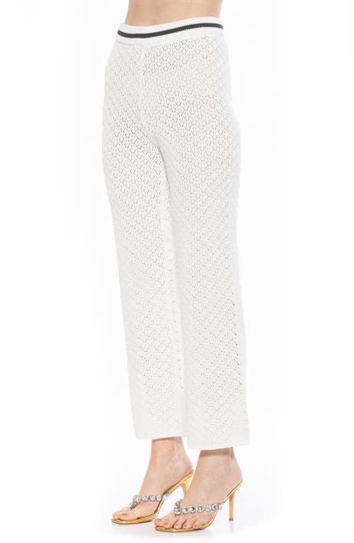 Alexia Admor Kora Cropped Open Stitch Knit Pants In Ivory