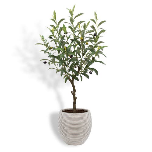 Cg Hunter Artificial Olive Topiary Tree With Mediterranean Pot In Green