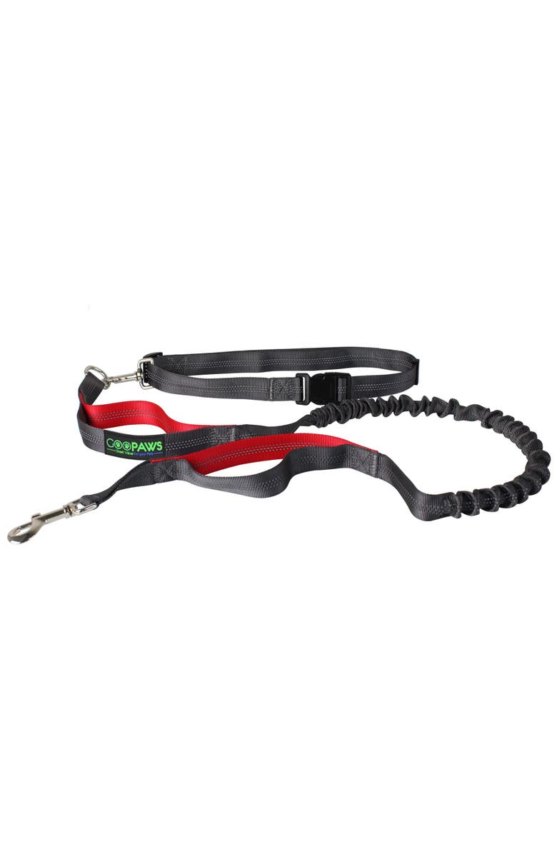 JESPET Hands Free Bungee Dog Leash, Main, color, Multicolored