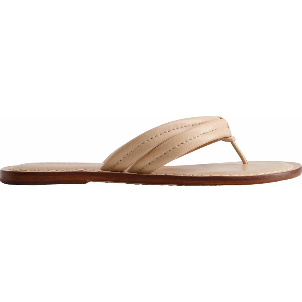 BERNARDO FOOTWEAR BERNARDO FOOTWEAR MIAMI THONG SANDAL