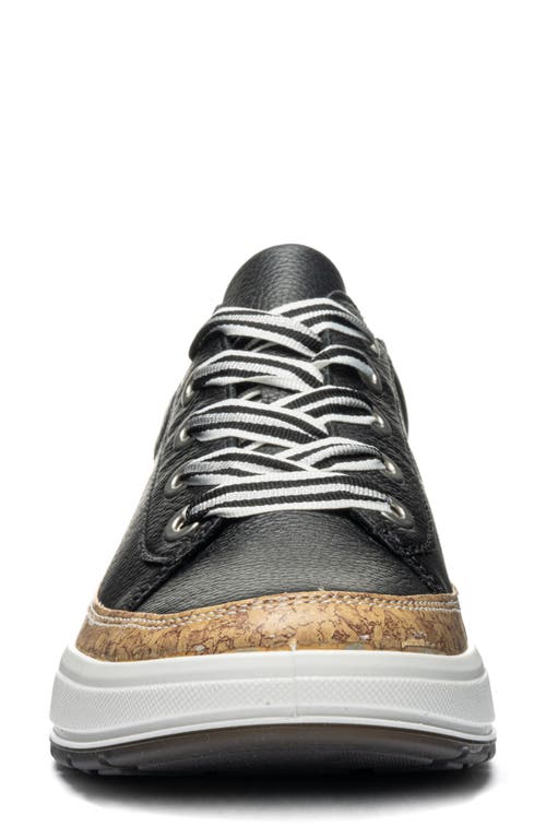 Ara Rem Sneaker In Multi