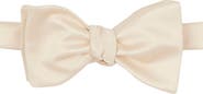 CONSTRUCT Solid Satin Bow Tie