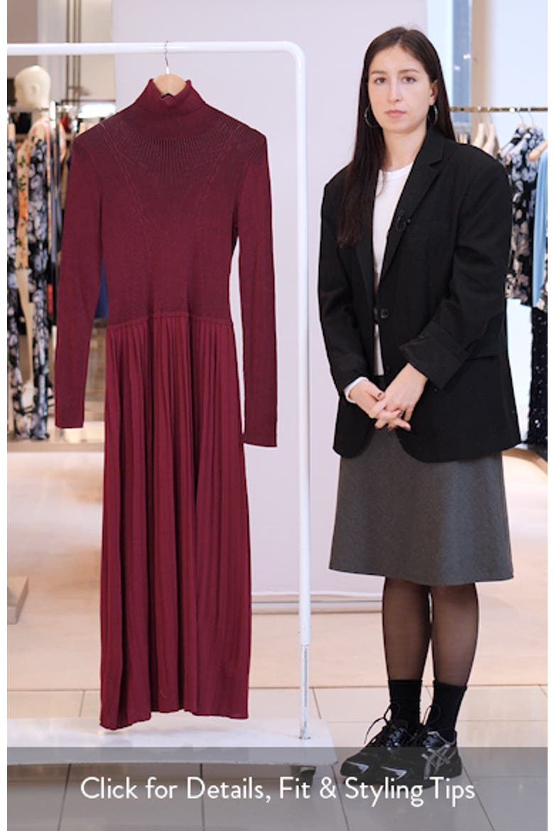 Long Sleeve Pleat Turtleneck Maxi Dress video